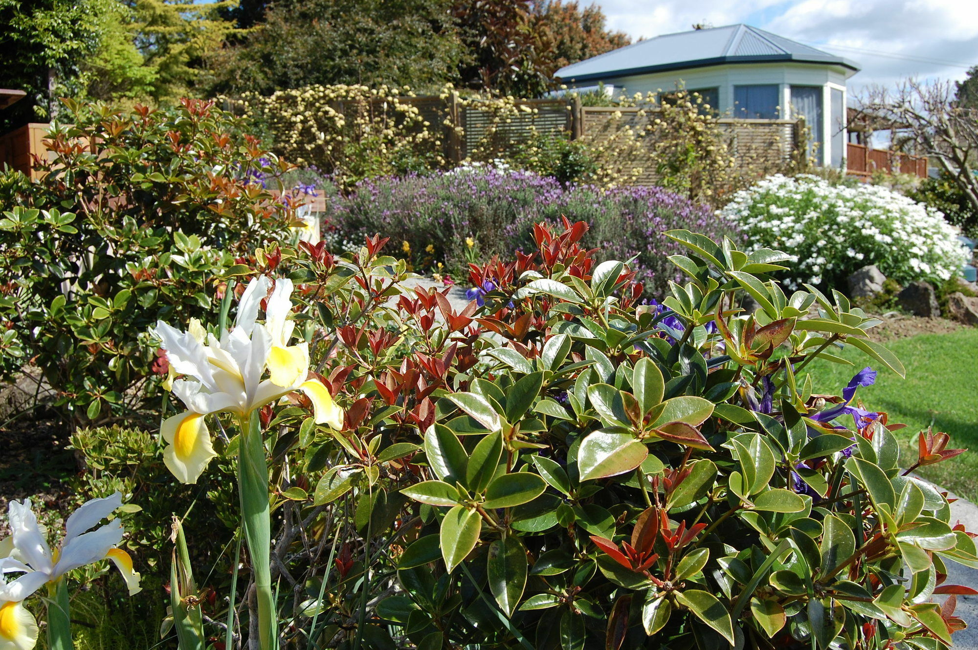 Te Awa Lodge Paihia Esterno foto