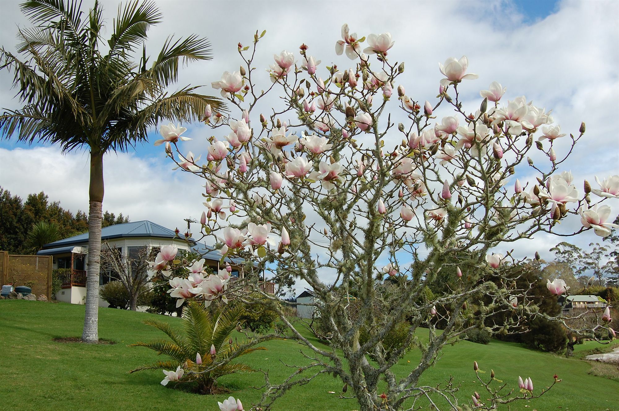 Te Awa Lodge Paihia Esterno foto